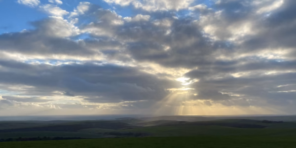 From Burnout to Resilience: How mindfulness restored a doctor’s wellbeing at work