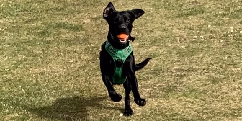 Bodyfulness: The critical role of embodiment